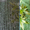 HDPE Shade Net ผ้าร่มสำหรับสวน Windbreak Netting