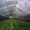 Green Anti Uv HDPE Sun Shade Net สำหรับระเบียงบ้านสวนพืช