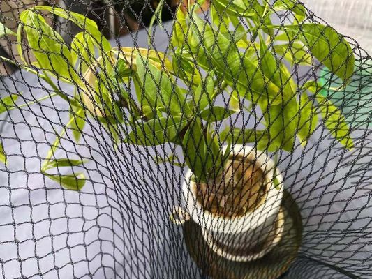 สระว่ายน้ำป้องกันนกกระสาบ่อปลาคาร์ฟสุทธิครอบคลุม 15 ฟุต X 20 ฟุต Hdpe