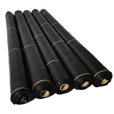 ปูพรมป้องกันวัชพืชเกรดเชิงพาณิชย์ภายใต้ผ้าป้องกันรากหญ้าสนามหญ้า100gsm