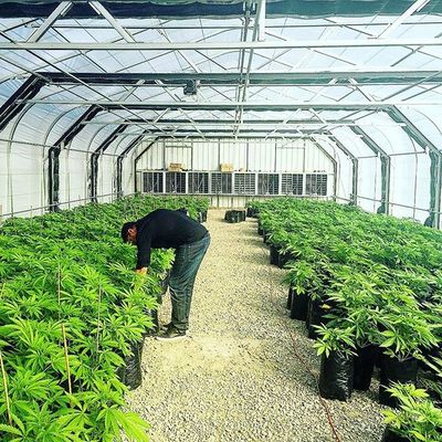 60% ลานกลางแจ้งพลาสติก Agri Shade Netting สำหรับสวนผัก